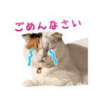 たぼろく（個別スタンプ：24）