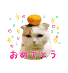 たぼろく（個別スタンプ：25）