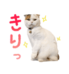 たぼろく（個別スタンプ：29）