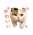たぼろく（個別スタンプ：34）