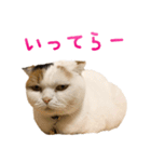 たぼろく（個別スタンプ：37）