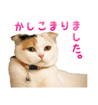 たぼろく（個別スタンプ：38）