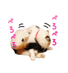 たぼろく（個別スタンプ：40）