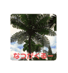 花とニャンコ（個別スタンプ：5）