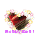 花とニャンコ（個別スタンプ：6）