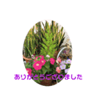 花とニャンコ（個別スタンプ：26）