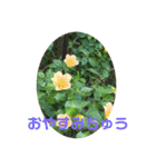 花とニャンコ（個別スタンプ：30）