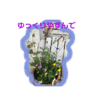 花とニャンコ（個別スタンプ：32）