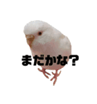 フクちゃんですけど。（個別スタンプ：2）