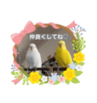 フクちゃんですけど。（個別スタンプ：4）