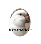 フクちゃんですけど。（個別スタンプ：5）