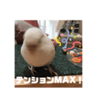 フクちゃんですけど。（個別スタンプ：6）