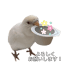フクちゃんですけど。（個別スタンプ：8）