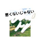 あるオリーブの風景（個別スタンプ：7）