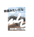 あるオリーブの風景（個別スタンプ：8）