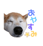 こまちとぷーちん（個別スタンプ：6）