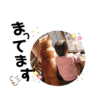 こまちとぷーちん（個別スタンプ：9）