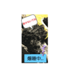 わんこの響輝くん（個別スタンプ：6）