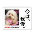 STOP！新型コロナ☆愛犬ラッキーとともに！（個別スタンプ：2）