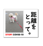 STOP！新型コロナ☆愛犬ラッキーとともに！（個別スタンプ：3）