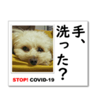 STOP！新型コロナ☆愛犬ラッキーとともに！（個別スタンプ：4）