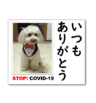 STOP！新型コロナ☆愛犬ラッキーとともに！（個別スタンプ：5）