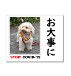 STOP！新型コロナ☆愛犬ラッキーとともに！（個別スタンプ：6）