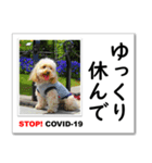 STOP！新型コロナ☆愛犬ラッキーとともに！（個別スタンプ：7）