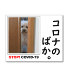 STOP！新型コロナ☆愛犬ラッキーとともに！（個別スタンプ：8）