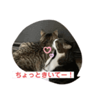 あさひなこはく（個別スタンプ：13）
