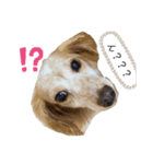 ミミの日常さ（個別スタンプ：4）