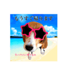 みるセブスタンプ（個別スタンプ：2）