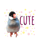 桜文鳥おぶん②（個別スタンプ：11）