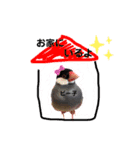 桜文鳥おぶん②（個別スタンプ：13）