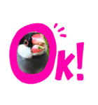 桜文鳥おぶん②（個別スタンプ：17）
