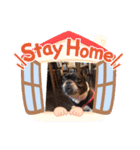 あゆむくんスタンプ12（個別スタンプ：8）