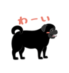 パグバラエティセット(黒ver)（個別スタンプ：2）