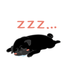 パグバラエティセット(黒ver)（個別スタンプ：11）
