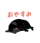 パグバラエティセット(黒ver)（個別スタンプ：12）