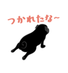 パグバラエティセット(黒ver)（個別スタンプ：14）