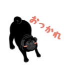 パグバラエティセット(黒ver)（個別スタンプ：17）