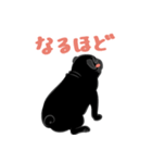 パグバラエティセット(黒ver)（個別スタンプ：18）