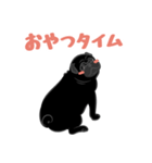 パグバラエティセット(黒ver)（個別スタンプ：19）