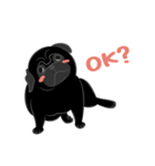 パグバラエティセット(黒ver)（個別スタンプ：20）