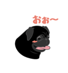 パグバラエティセット(黒ver)（個別スタンプ：22）