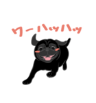 パグバラエティセット(黒ver)（個別スタンプ：28）
