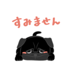 パグバラエティセット(黒ver)（個別スタンプ：29）