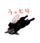 パグバラエティセット(黒ver)（個別スタンプ：36）