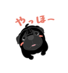 パグバラエティセット(黒ver)（個別スタンプ：37）