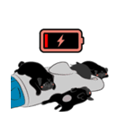 パグバラエティセット(黒ver)（個別スタンプ：39）